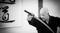 Katana Japanese iai Budo iaido