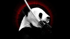 Katana panda bears