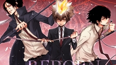 Katekyo hitman reborn