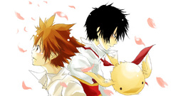 Katekyo hitman reborn