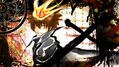 Katekyo hitman reborn Anime