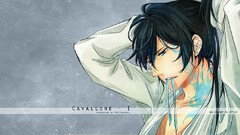 Katekyo hitman reborn Cavallone