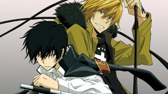 Katekyo hitman reborn Hibari