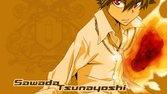 Katekyo hitman reborn Sawada