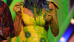 Katy perry paint singers