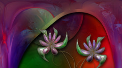 Keep flower abstract multicolor