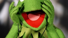 Kermit the frog The Muppet Show
