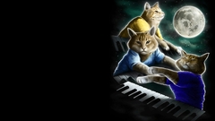 Keyboard cat Anime