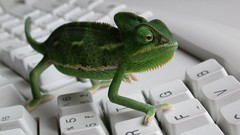 Keyboards chameleons macro depth