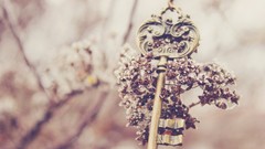 Keys blurred background man-made