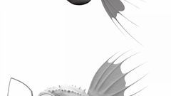 Kfish high Aquarium and