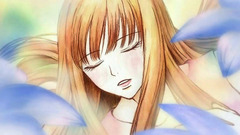 Kimi ni todoke Anime