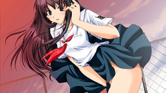 Kimikiss Manga Anime