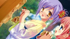 Kimono blush Japanese clothes