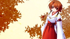 Kimono miko Japanese clothes