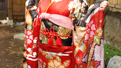 Kimono Ushijima Iiniku Japanese