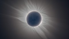 King high Resolution