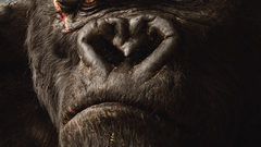King Kong