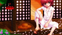 King read or die anita