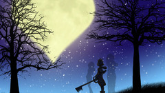 Kingdom Hearts Sora (Kingdom