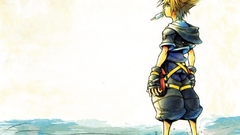 Kingdom Hearts Sora (Kingdom