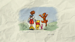 Kingdom Hearts Sora (Kingdom