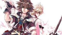 Kingdom Hearts Sora (Kingdom