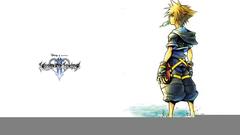 Kingdom Hearts Sora (Kingdom