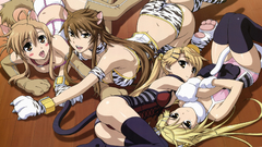 Kirishima Kotone nekomimi nyan