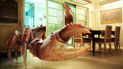 Kitchen crabs
