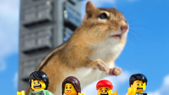 Kittens The felines dont have any closest bdfdb