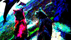 Kittyvacation artsy Kitty cats