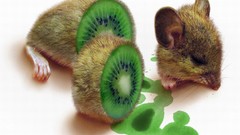 Kiwi