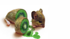 Kiwi slices