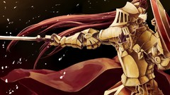 Knights armor shield capes