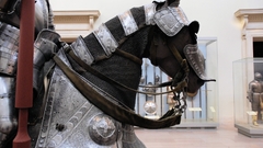 Knights Horses Animals