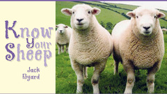 Know Your sheep high