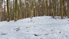 Kodak is high December