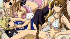 Koi Anime nekomimi nyan