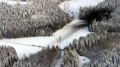 Koneen putoamispaikka hornet high