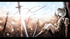 Konpaku youmu Anime touhou