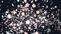 Konpaku youmu touhou