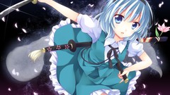 Konpaku youmu touhou Flowers