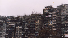 Kowloon City vid think