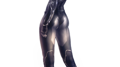 Kusanagi Motoko Ghost in