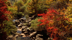 Kyongsangnam do chonghak dong