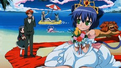 Kyouran kazoku nikki