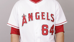 La angels of anaheim