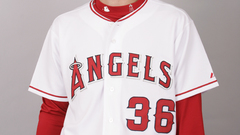 La angels of anaheim