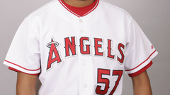 La angels of anaheim